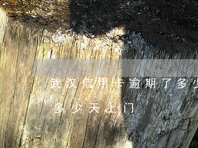 武汉信用卡逾期了多少天(武汉信用卡逾期了多少天上门)