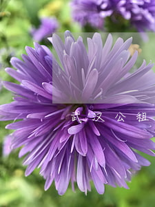武汉公租房