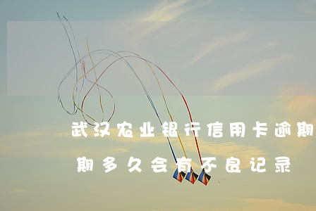 武汉农业银行信用卡逾期(农业银行信用卡逾期多久会有不良记录)