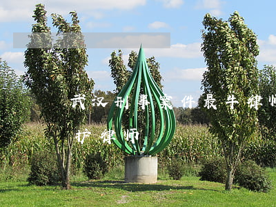 武汉刑事案件最牛律师(武汉十大著名刑事辩护律师)