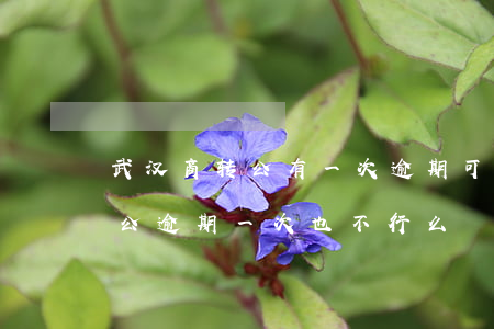 武汉商转公有一次逾期可以转吗-武汉商转公逾期一次也不行么