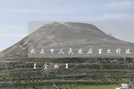 武汉市人民政府重大行政决策程序规定最新【全文】
