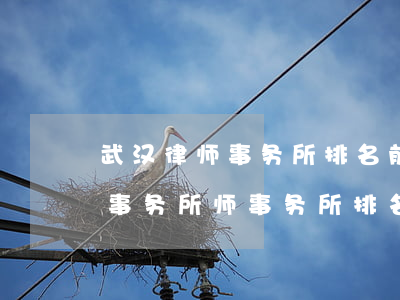 武汉律师事务所排名前十位(武汉最好的律师事务所师事务所排名)