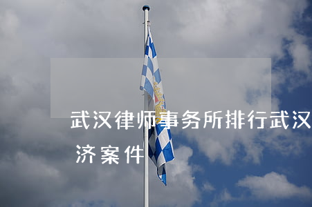 武汉律师事务所排行(武汉律师事务所排行经济案件)