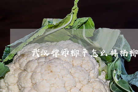 武汉律师柳平怎么样(杨柳青律师)