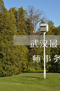 武汉最大的律师所在哪里(武汉排名前十的律师事务所)
