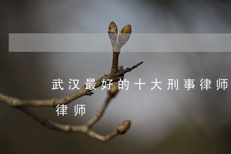 武汉最好的十大刑事律师(武汉刑事案件最牛律师)