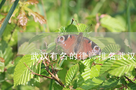 武汉有名的律师排名(武汉律所排名)