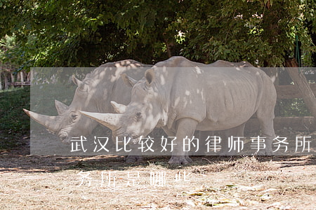 武汉比较好的律师事务所(武汉有名的律师事务所是哪些)