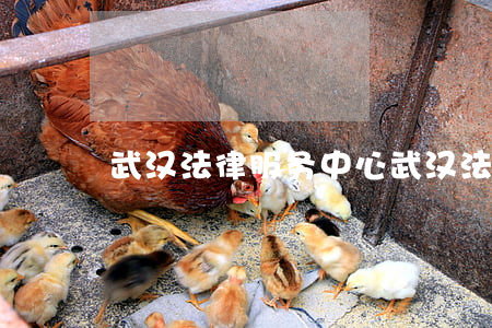 武汉法律服务中心(武汉法律服务中心电话)