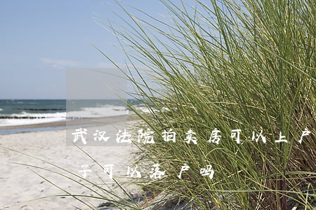 武汉法院拍卖房可以上户口吗(法院拍卖的房子可以落户吗)