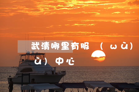 武清哪里有服務(wù)(武清市民服務(wù)中心)