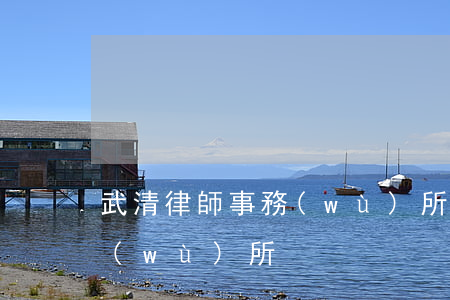 武清律師事務(wù)所(天津武清律師事務(wù)所)