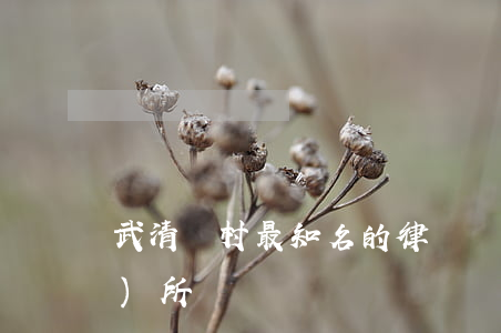 武清楊村最知名的律師(楊村律師事務(wù)所)