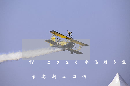 武漢2020年信用卡逾期(2020年信用卡逾期上征信嗎)