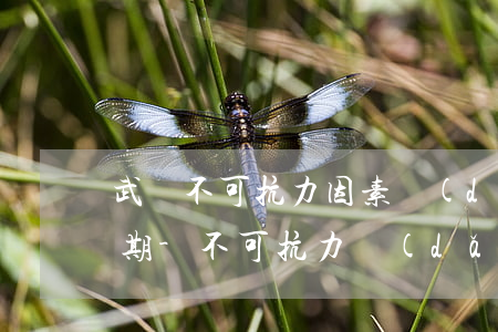 武漢不可抗力因素導(dǎo)致信用卡逾期-不可抗力導(dǎo)致的信用卡逾期怎么辦