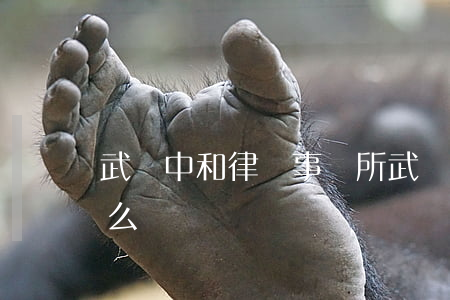 武漢中和律師事務所(武漢中和律師事務所怎么樣)