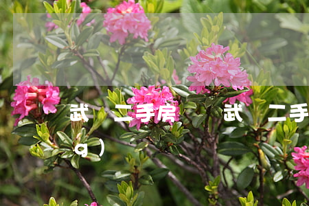 武漢二手房買賣(武漢二手房買賣網(wǎng))