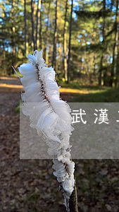 武漢二手房貸款