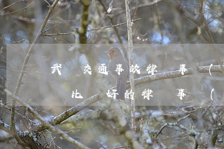 武漢交通事故律師事務(wù)所哪最好(武漢比較好的律師事務(wù)所)
