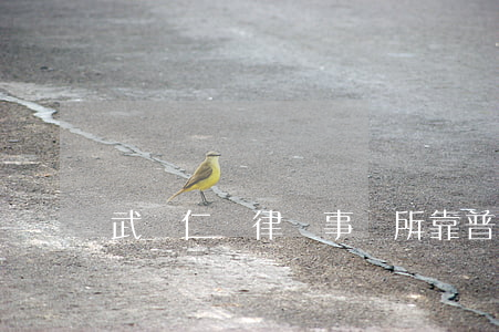 武漢仁義律師事務所靠普嗎