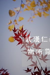 武漢仁義律師事物所靠普嗎(武漢仁義律師事物所靠普嗎)