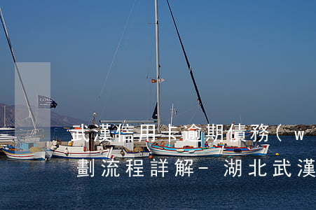 武漢信用卡逾期債務(wù)規(guī)劃流程詳解-湖北武漢是哪家信用卡催收