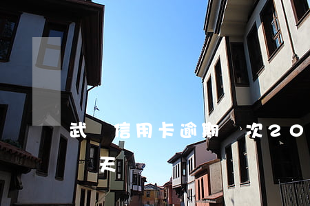 武漢信用卡逾期兩次(2021年信用卡逾期兩天)
