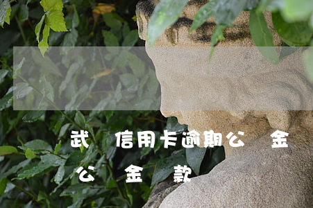 武漢信用卡逾期公積金貸款(武漢信用卡逾期公積金貸款)