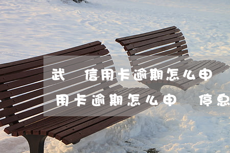 武漢信用卡逾期怎么申請停息掛賬-武漢信用卡逾期怎么申請停息掛賬的