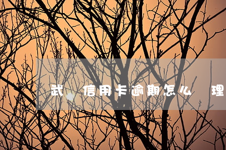 武漢信用卡逾期怎么處理(信用卡 逾期了怎么辦)