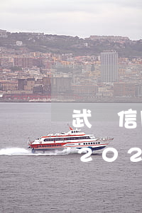 武漢信用卡逾期數(shù)據(jù)-2020年中國(guó)信用卡逾期數(shù)據(jù)