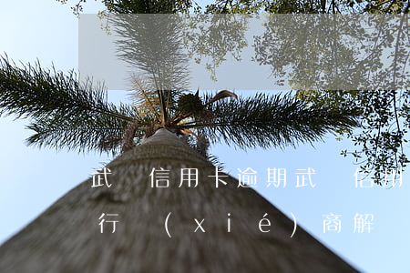 武漢信用卡逾期(武漢信用卡逾期了怎么跟銀行協(xié)商解決)