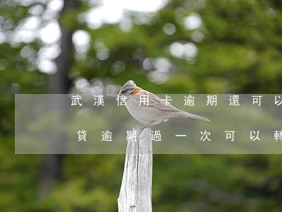 武漢信用卡逾期還可以辦商轉公嗎-武漢商貸逾期過一次可以轉公積金嗎