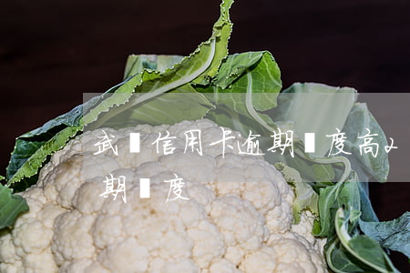 武漢信用卡逾期額度高(2021年信用卡逾期額度)