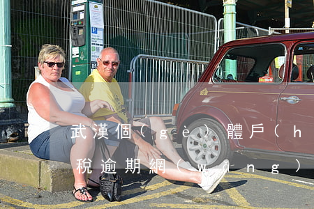 武漢個(gè)體戶(hù)報(bào)稅逾期網(wǎng)上申報(bào)流程-武漢個(gè)體戶(hù)報(bào)稅逾期網(wǎng)上申報(bào)流程圖