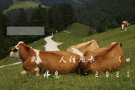 武漢個人信用卡債務(wù)規(guī)劃停息掛賬-2021年信用卡停息掛賬