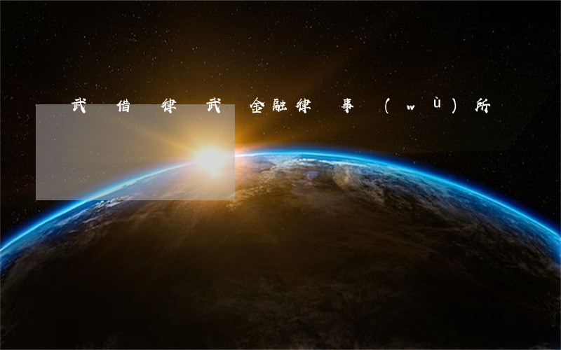武漢借貸律師(武漢金融律師事務(wù)所)