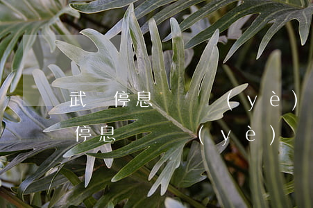 武漢停息掛賬業(yè)務(wù)代理-停息掛賬業(yè)務(wù)怎么做