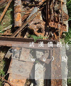 武漢債務(wù)糾紛律師費用（武漢債務(wù)糾紛律師所）