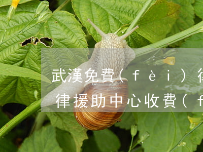 武漢免費(fèi)律師援助在哪里(武漢法律援助中心收費(fèi)標(biāo)準(zhǔn))