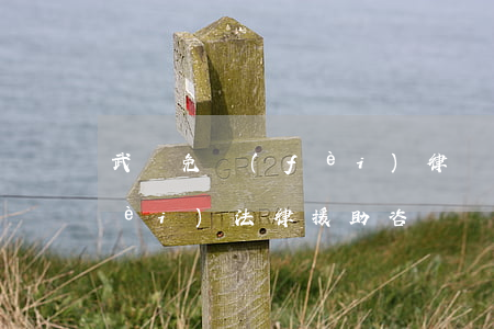 武漢免費(fèi)律師援助(武漢免費(fèi)法律援助咨詢)
