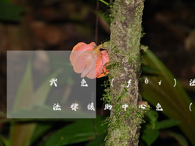 武漢免費(fèi)法律援助需要什么條件(法律援助中心免費(fèi)條件)