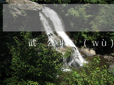 武漢公司債務(wù)律師選誰