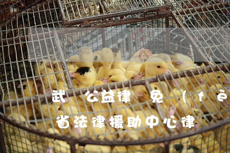 武漢公益律師免費(fèi)法律援助(湖北省法律援助中心律師)