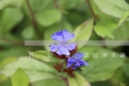 武漢公積金貸款信用卡逾期(公積金 貸款 逾期)