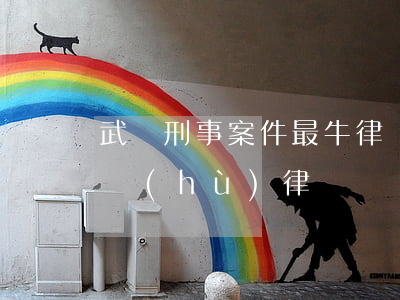 武漢刑事案件最牛律師(武漢十大著名刑事辯護(hù)律師)