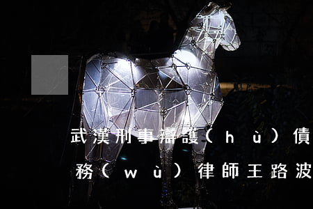 武漢刑事辯護(hù)債權(quán)債務(wù)律師王路波-武漢刑事辯護(hù)債權(quán)債務(wù)律師王路波簡歷
