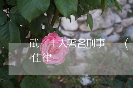 武漢十大著名刑事辯護(hù)律師(武漢十佳律師)