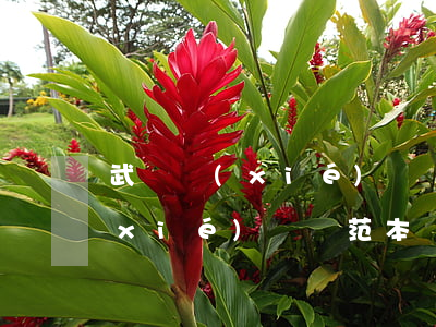 武漢協(xié)議離婚流程(武漢離婚協(xié)議書范本)
